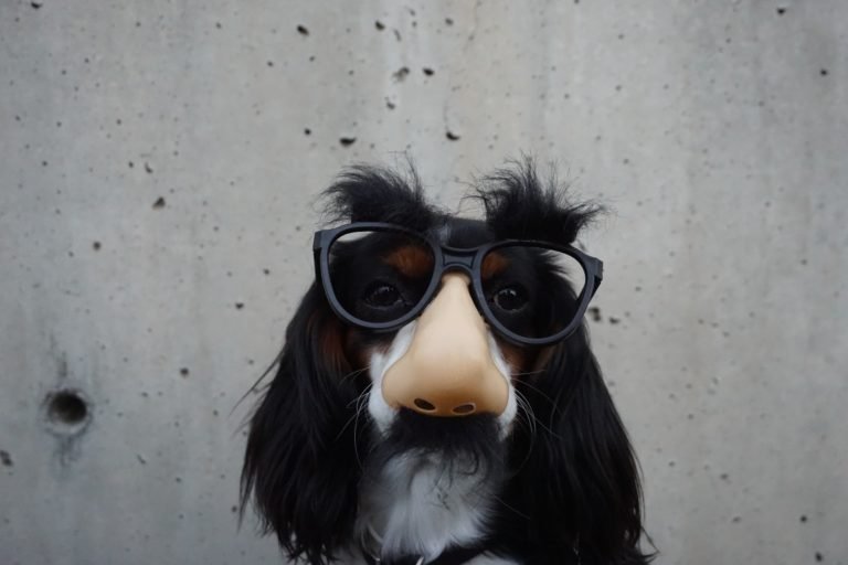 Braydon anderson wohh nutvvc unsplash