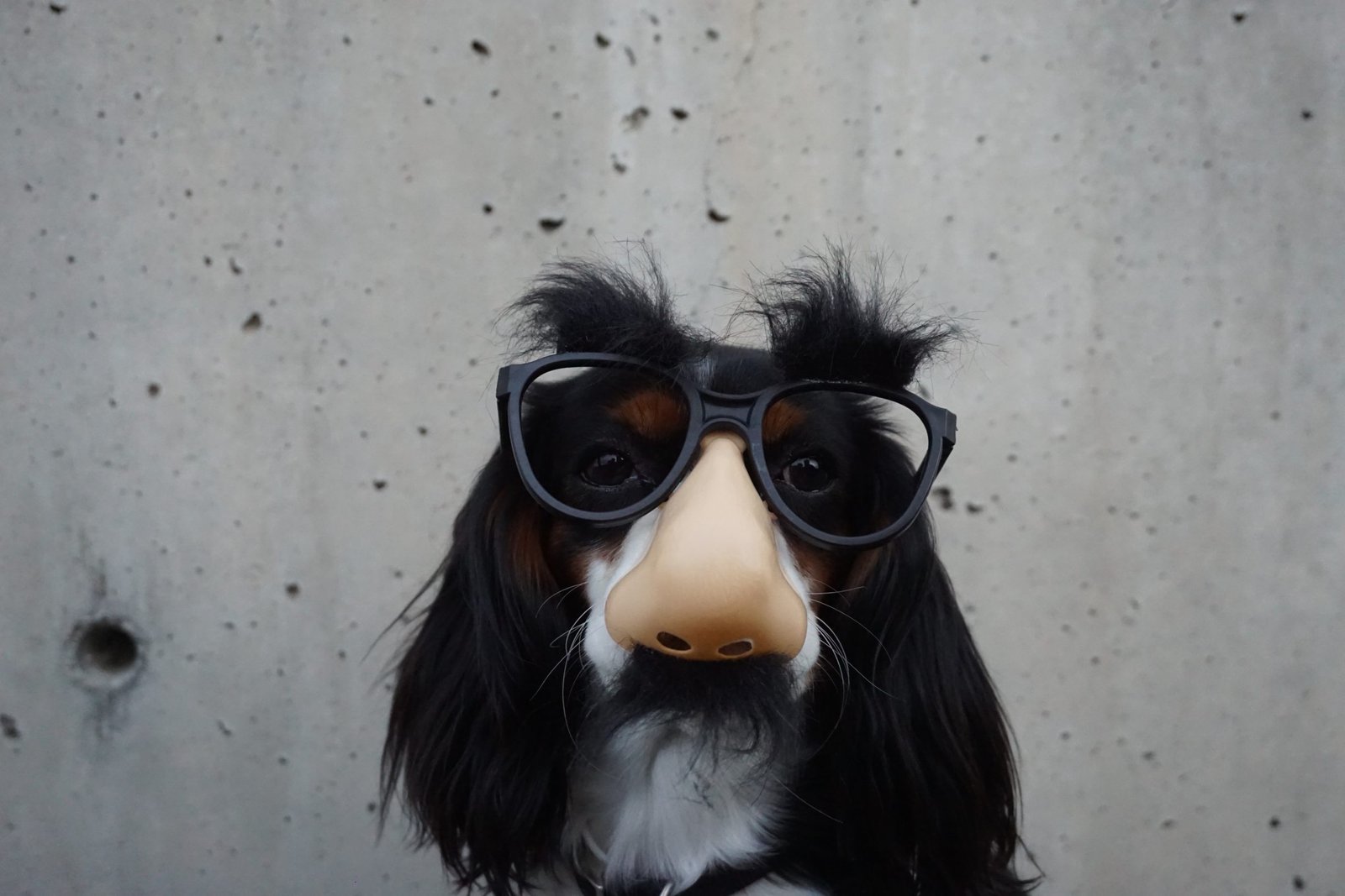 Braydon anderson wohh nutvvc unsplash