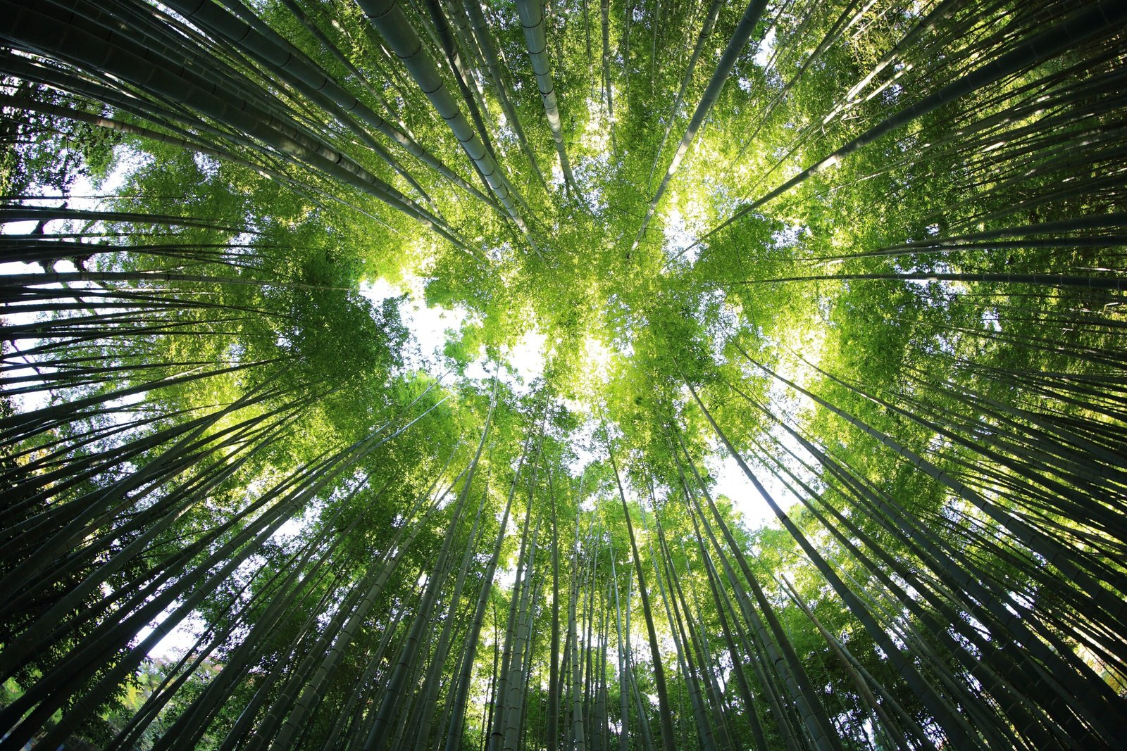 Kazuend 19sc2oavzw0 unsplash